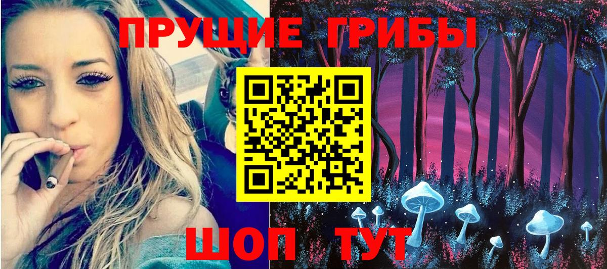 Мирный  где купить наркоту  Вход с VPN  Галлюциногенные грибы Psilocybe 